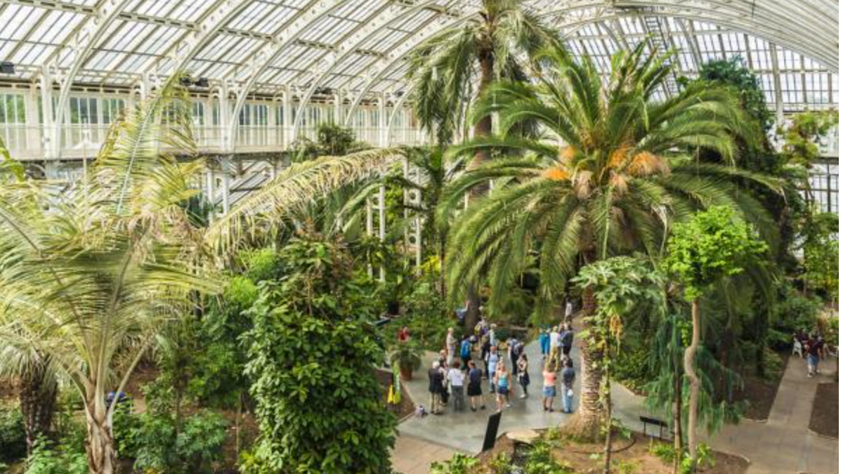 Asociația Grădinii Botanice Timișoara - un pas important pentru dezvoltarea unui proiect verde, inovator și autosustenabil în orașul nostru