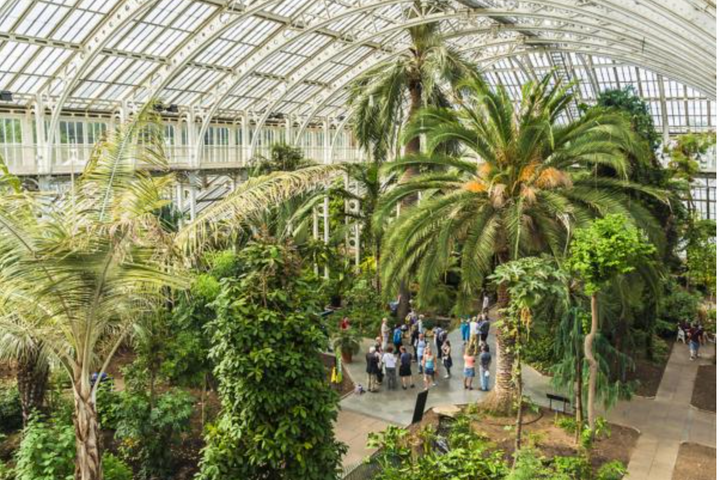 Asociația Grădinii Botanice Timișoara - un pas important pentru dezvoltarea unui proiect verde, inovator și autosustenabil în orașul nostru