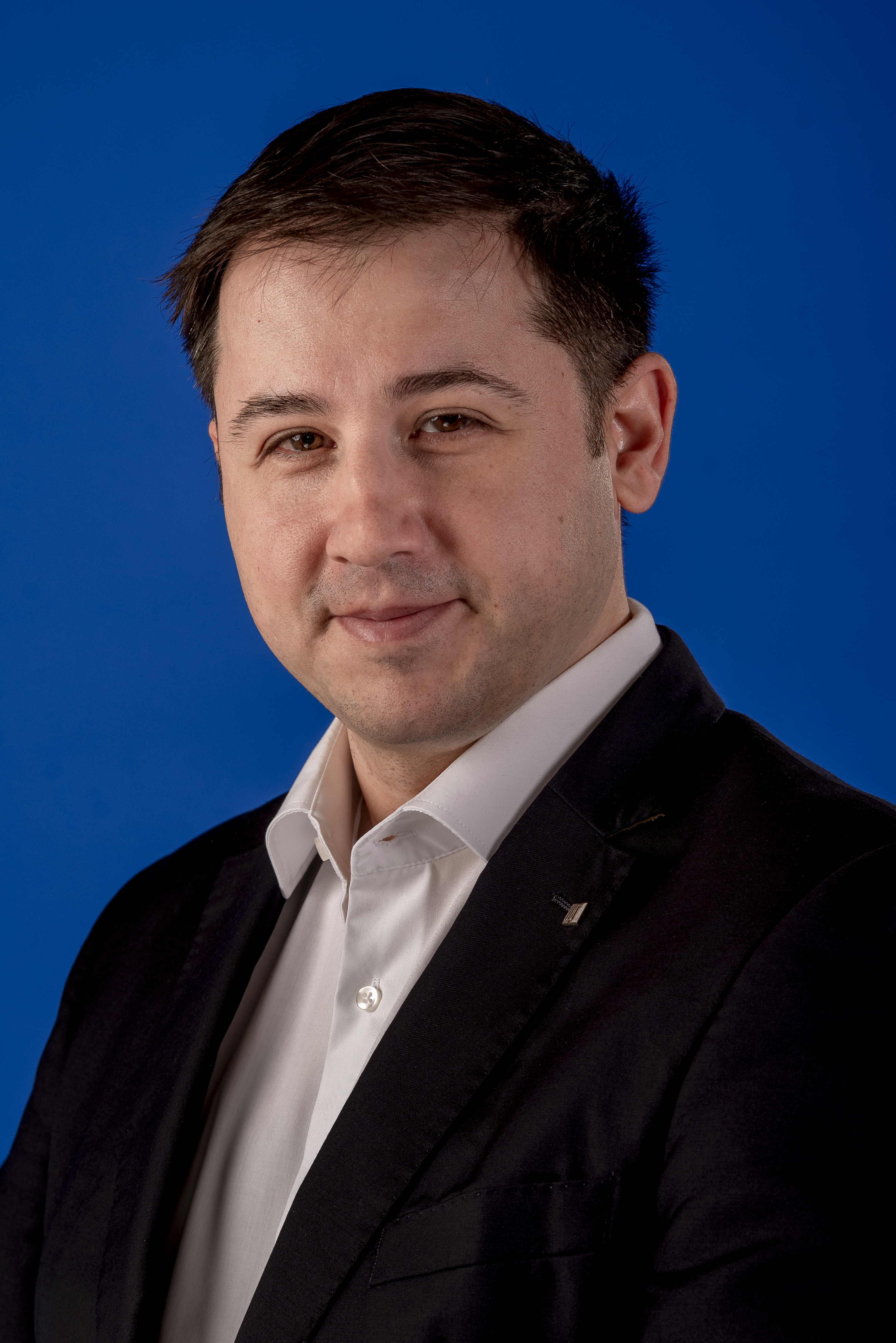Vlad-Mircea MIHĂESCU